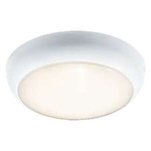 Ansell Disco LED Downlight
